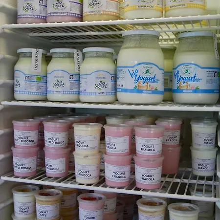 Dalla Fattoria Della Patty Pieve Di Ledro