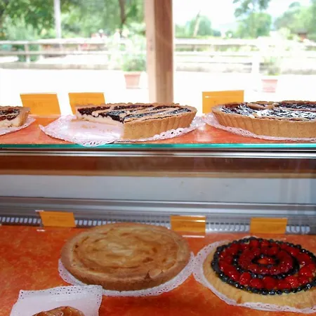 Dalla Fattoria Della Patty Pieve Di Ledro