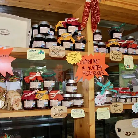 Dalla Fattoria Della Patty Pieve Di Ledro