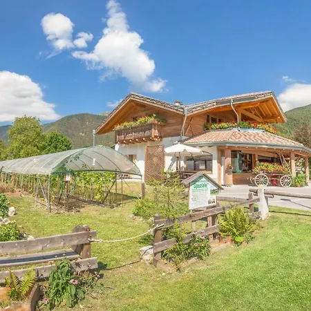 Dalla Fattoria Della Patty Bed & Breakfast